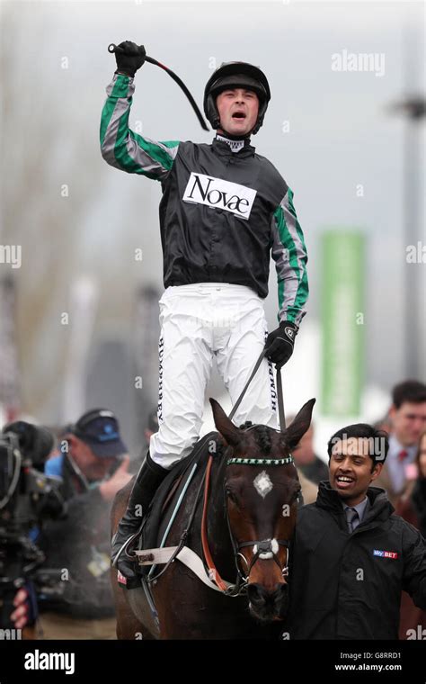 sky bet supreme novices hurdle
